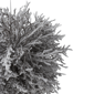 Northlight 7in. White Frosted Round Twig Christmas Ornament - image 4