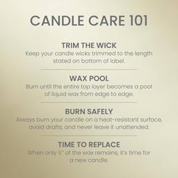 Yankee Candle® 14.25oz. Sage & Citrus Pillar Candle