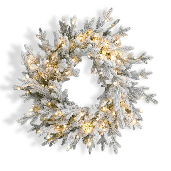 Seasonal LLC LED Dandan Pine 24in. Flocked Christmas Wreath - image 