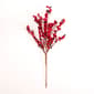 Tree Branch w/ Red Berries Stem - image 1