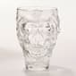 Clear Skull Mug - image 1