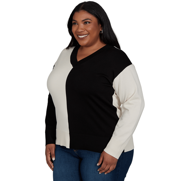 Plus Size Skye’s the Limit Signature Sweaters Color Block Sweater