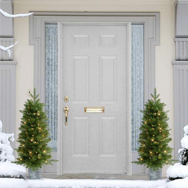 Puleo International 2pc 3.5ft. Pre-Lit Oregon Fir Christmas Trees