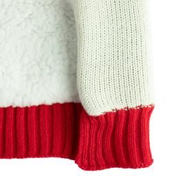 Holly Berry Pet Sweater