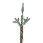 Northlight Seasonal 3ft. Pine Artificial Snow Christmas Tree - image 5
