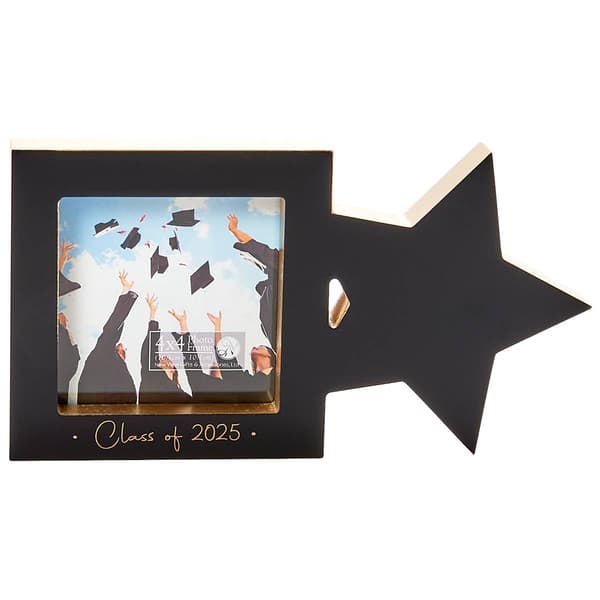 New View 2025 Star Frame Sitter - image 