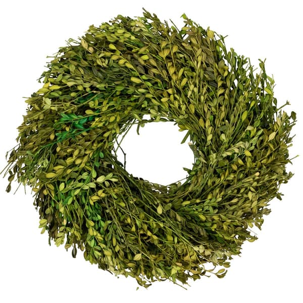 Northlight Seasonal 15in. Artificial Green Foliage Spring Wreath - image 