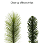 Puleo International 4.5ft. Pre-Lit Arkansas Pine Christmas Tree - image 7