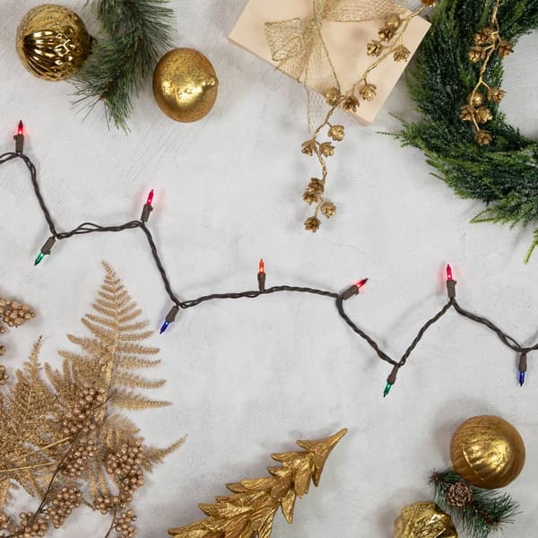 Northlight Seasonal 100ct. Multi-Color Mini Christmas Lights