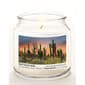 Courtside Market® Pheonix Cactus 16oz. Orange Blossom Jar Candle - image 2