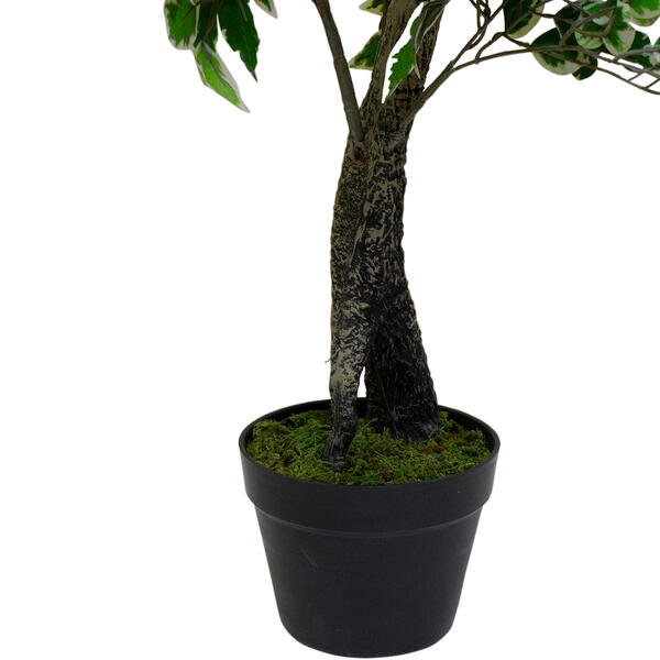 Northlight Seasonal 47in. Artificial Ficus Potted Plant