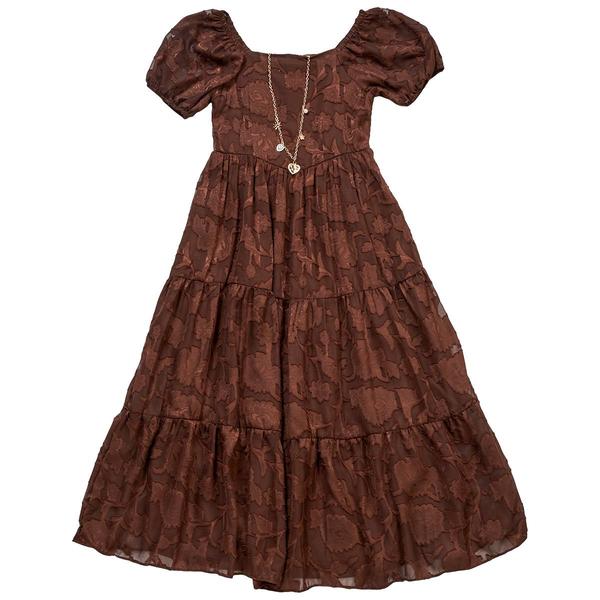 Girls (7-16) Rare Editions Floral Burnout Chiffon Maxi Dress - image 