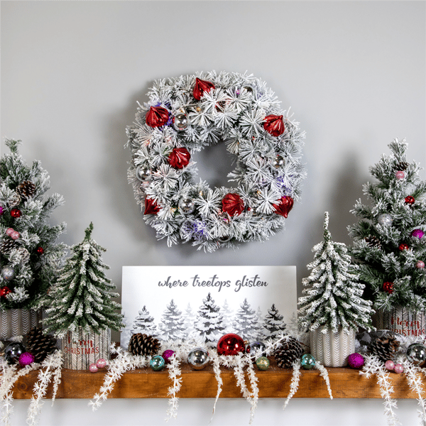 Northlight Dual Color LED Snowy Bristle Pine Christmas Wreath