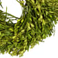 Northlight Seasonal 10in. Artificial Green Foliage Spring Wreath - image 4
