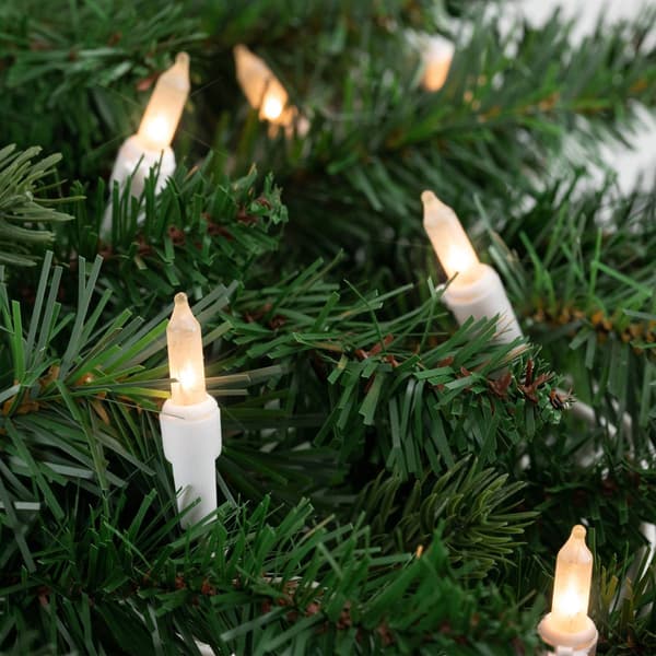 Northlight Seasonal 50.5ft. Frosted Clear Mini Christmas Lights