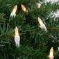Northlight Seasonal 50.5ft. Frosted Clear Mini Christmas Lights - image 3