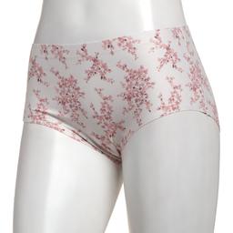 Womens Laura Ashley(R) Brushed Micro Brief Panties - LS4063LN