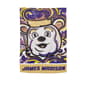 Evergreen James Madison University Suede House Flag - image 2