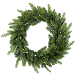 Northlight Real Touch(tm) 24in. LED Noble Fir Christmas Wreath