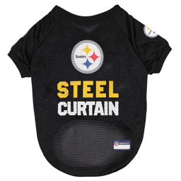 NFL Pittsburgh Steelers Raglan Pet Jersey