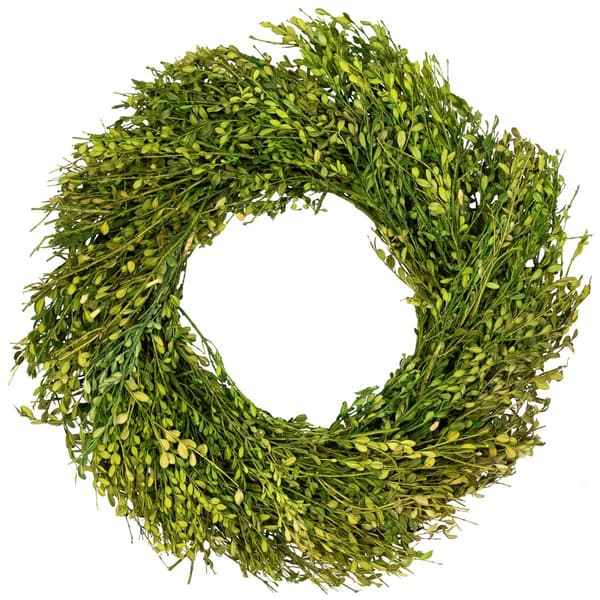 Northlight Seasonal 20in. Artificial Green Foliage Spring Wreath - image 