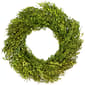 Northlight Seasonal 20in. Artificial Green Foliage Spring Wreath - image 1