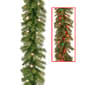 National Tree 9ft. Norwood Fir Dual Color(R) LED Garland - image 1