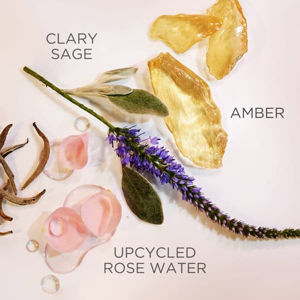 Elizabeth Arden White Tea Eau de Parfum