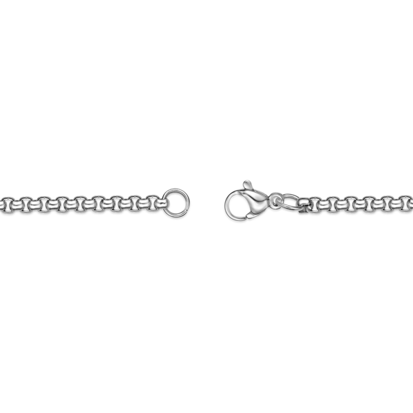 Mens Lynx Stainless Steel Cubic Zirconia Dog Tag Pendant Necklace