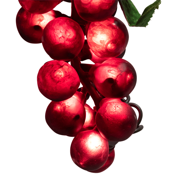 Northlight 5ct. Grape Cluster String Light Set