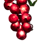 Northlight 5ct. Grape Cluster String Light Set - image 5