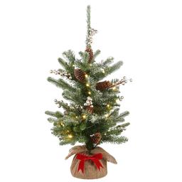 National Tree 2ft. Pre-Lit Snowy Morgan Spruce Tree