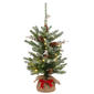 National Tree 2ft. Pre-Lit Snowy Morgan Spruce Tree - image 1