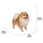 Hi-Line Gift Medium Standing Pomeranian Garden Statue - image 9
