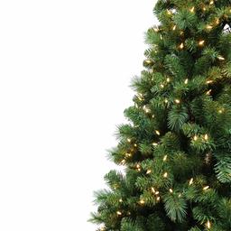 7ft. Life Like Stockton Pine Pre-Lit Christmas Tree