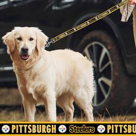 NFL Pittsburgh Steelers Dog Leash