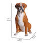 Hi-Line Gift Sitting Boxer Garden Statue - image 6