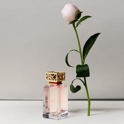 Tory Burch Signature Eau de Parfum