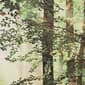 Habitat Photo Reel Forest Trees Curtain Panel Pair - image 6