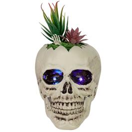Northlight Seasonal 8.75in. LED Succulent Skull Planter