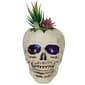 Northlight Seasonal 8.75in. LED Succulent Skull Planter - image 1