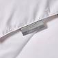 Kathy Ireland All Season Down Fiber Comforter - image 5