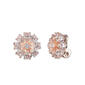 Anne Klein Cubic Zirconia Flower Button Clip Earrings - image 1