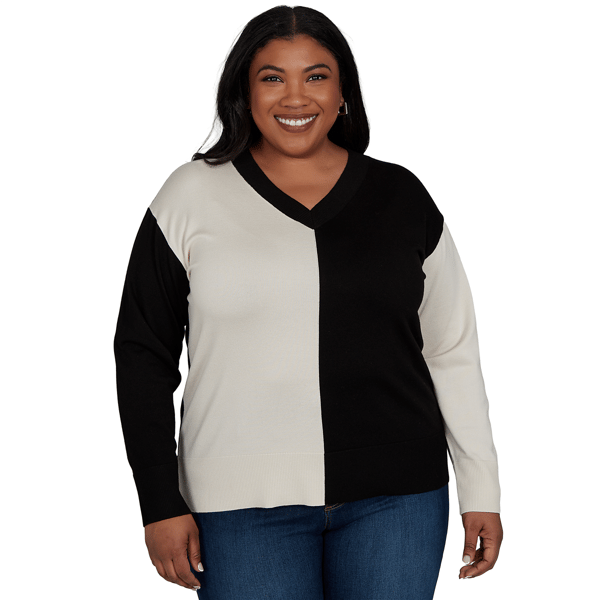 Plus Size Skyes the Limit Signature Sweaters Color Block Sweater