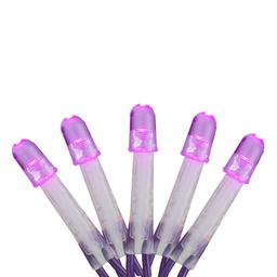 Northlight Seasonal 16ft. Purple LED Net Style Christmas Lights