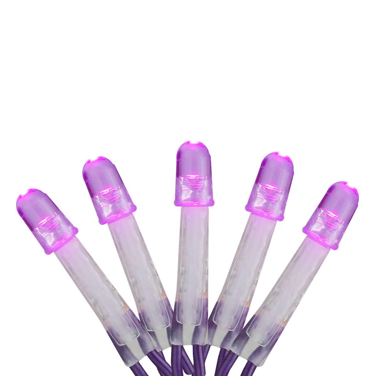 Northlight Seasonal 16ft. Purple LED Net Style Christmas Lights