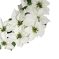 Puleo International 24in. Pre-Lit White Poinsettia Wreath - image 5