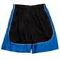 Mens Ultra Performance Color Block Mesh Shorts - image 1