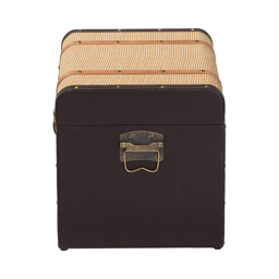 Baxton Studio Manton Woven Exterior Storage Trunk