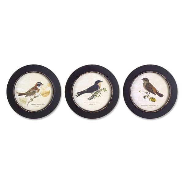 Melrose Wood Framed Encyclopedia Bird Print - Set of 3 - image 